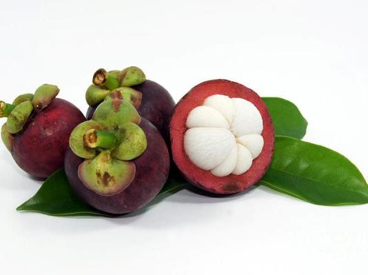 Cách Trồng Và Chăm Sóc Cây Măng Cụt