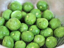 Kỹ Thuật Trồng Và Chăm Sóc Cây Sấu